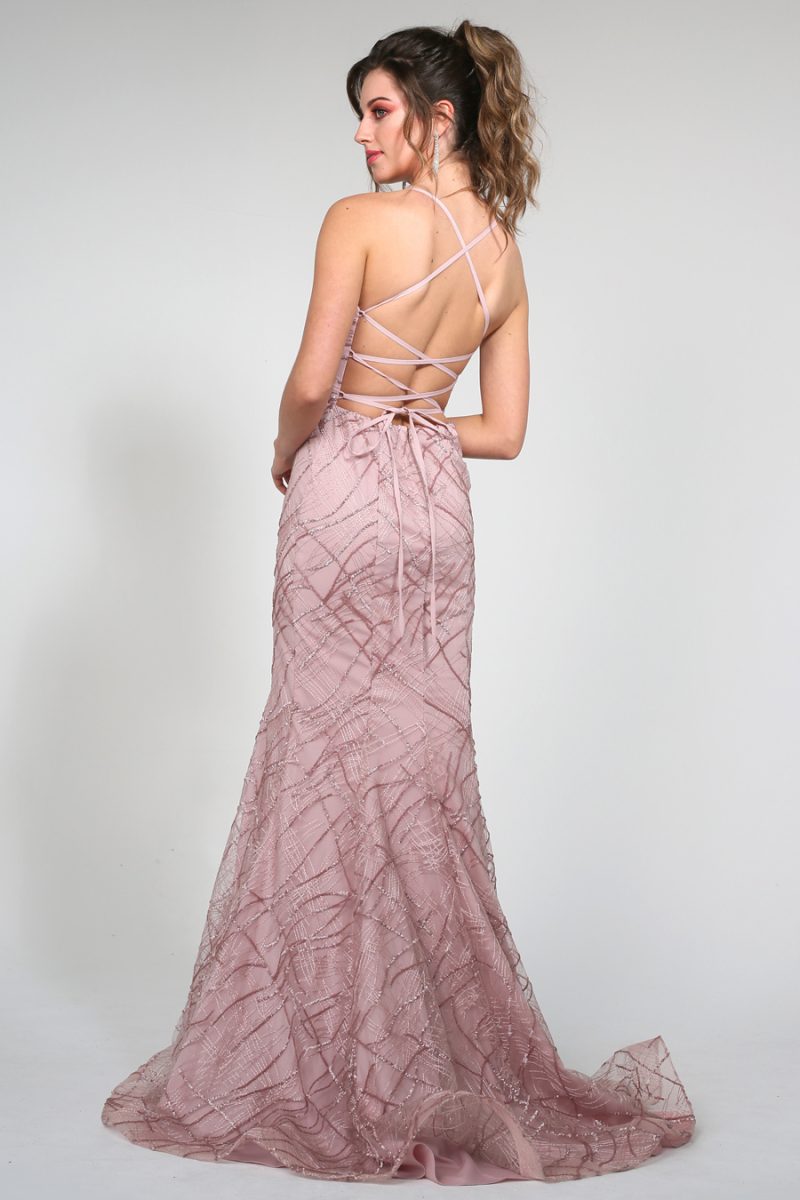 Julia Tea Rose Dress-5