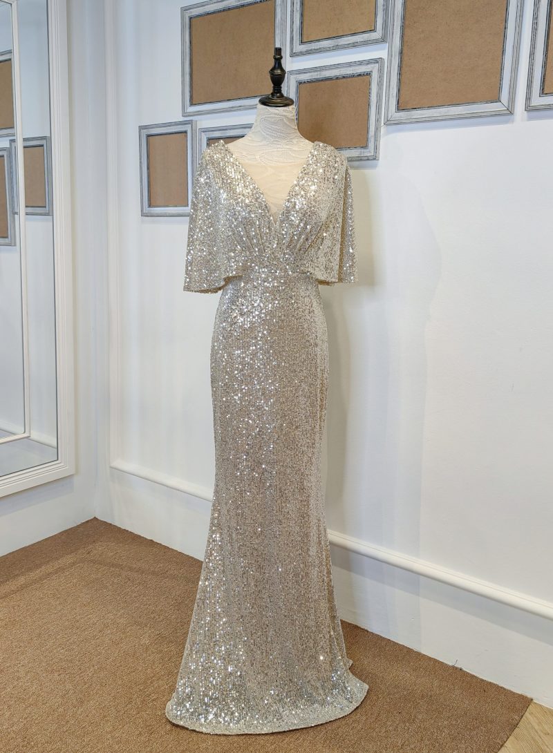 Cassie Silver Gown